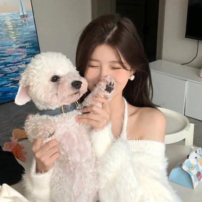装甲娘战机